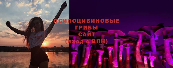 бошки Алексин