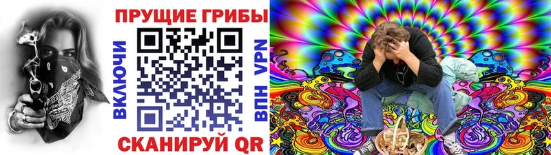 Галлюциногенные грибы мухоморы  даркнет как зайти  Власиха 