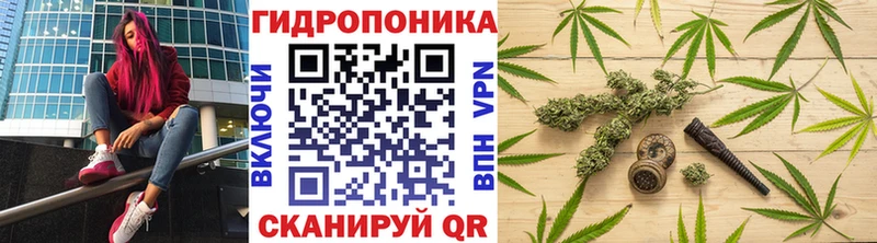 Марихуана сатива Власиха